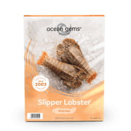 https://www.ocean-gems.com/imgadmins/products/cate/slipper-lobster